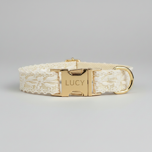 Dog collar with gold buckle and 'LUCY' engraving on a gray background