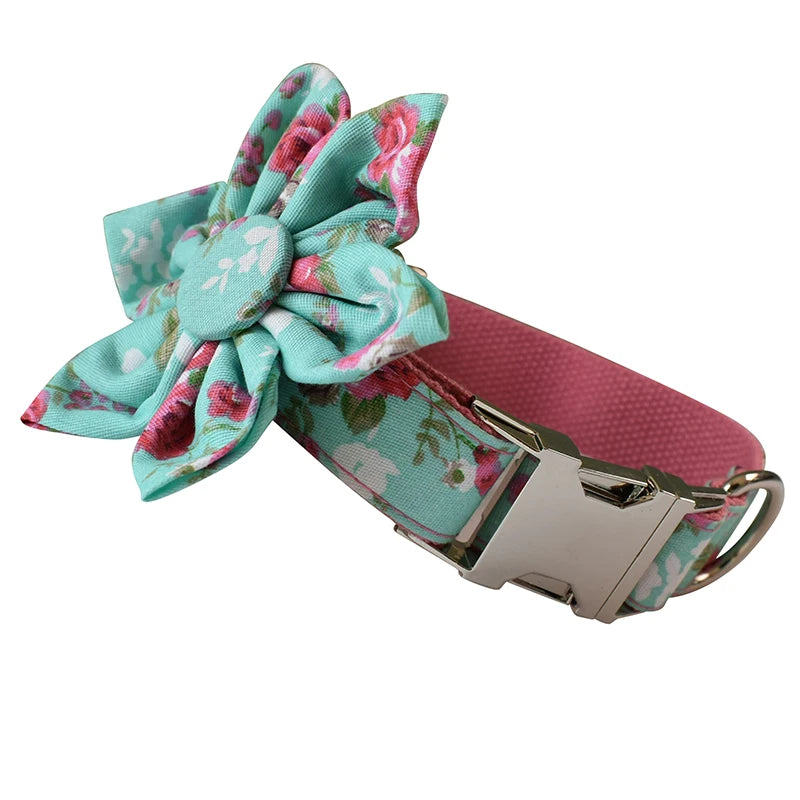 Floral bow and dog collar on a white background