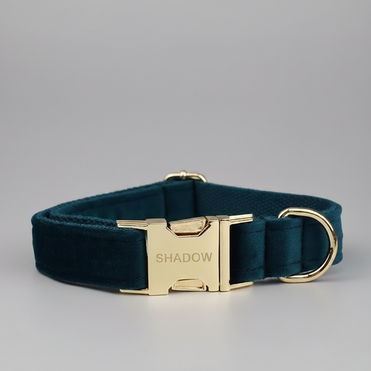 Midnight Canopy Collar