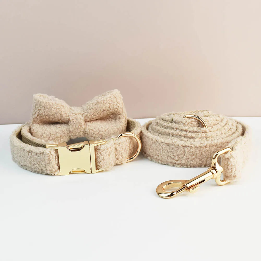 Dog collar, leash, and bow tie set with gold hardware on a light background