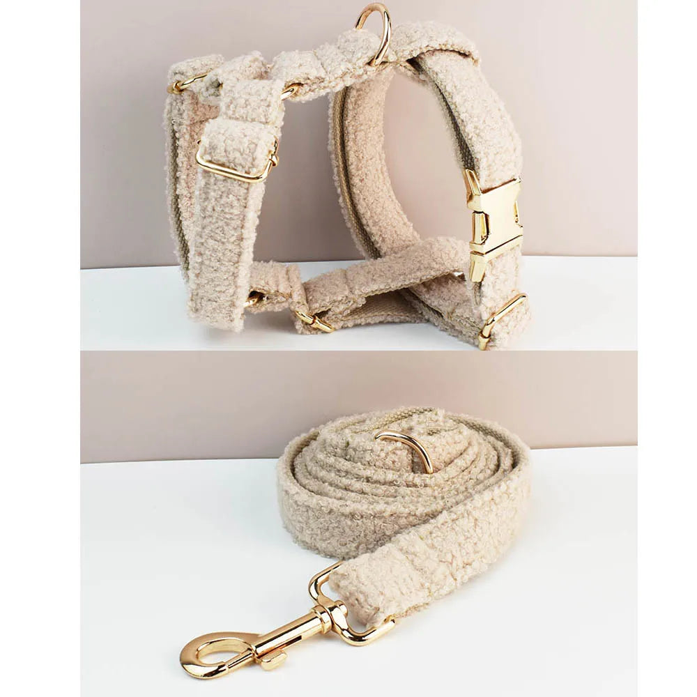 Dog harness and leash set with gold hardware on a light background