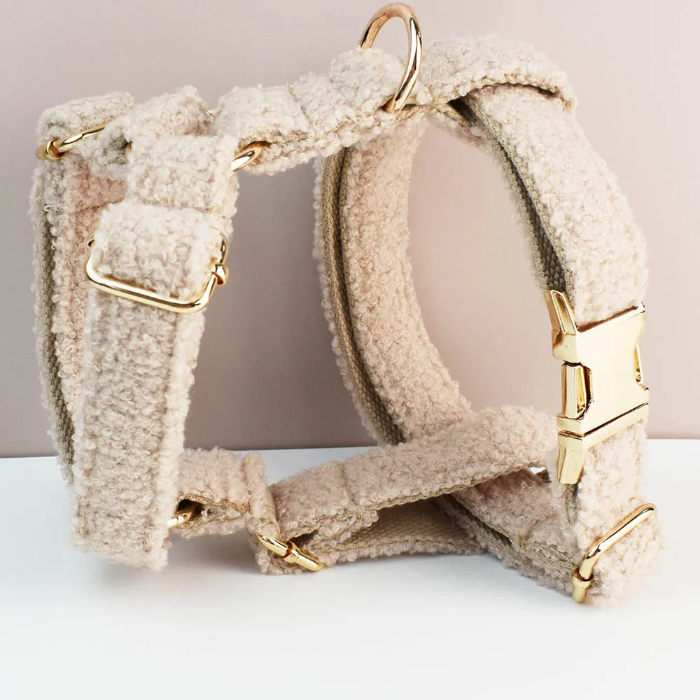 Beige dog harness with gold hardware on a light background