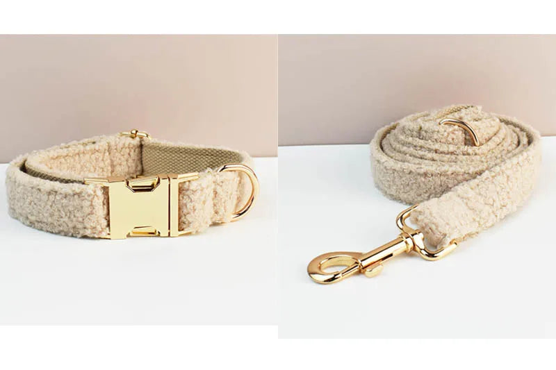 Beige dog collar and leash set with gold hardware on a white background