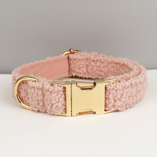 Pink dog collar with gold buckle on a white surface