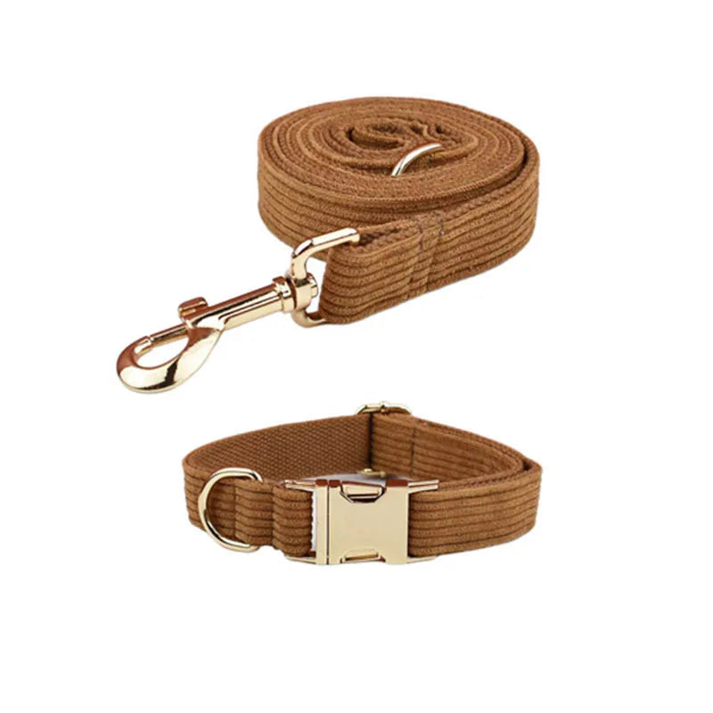 Brown dog collar and leash set with gold hardware on a white background