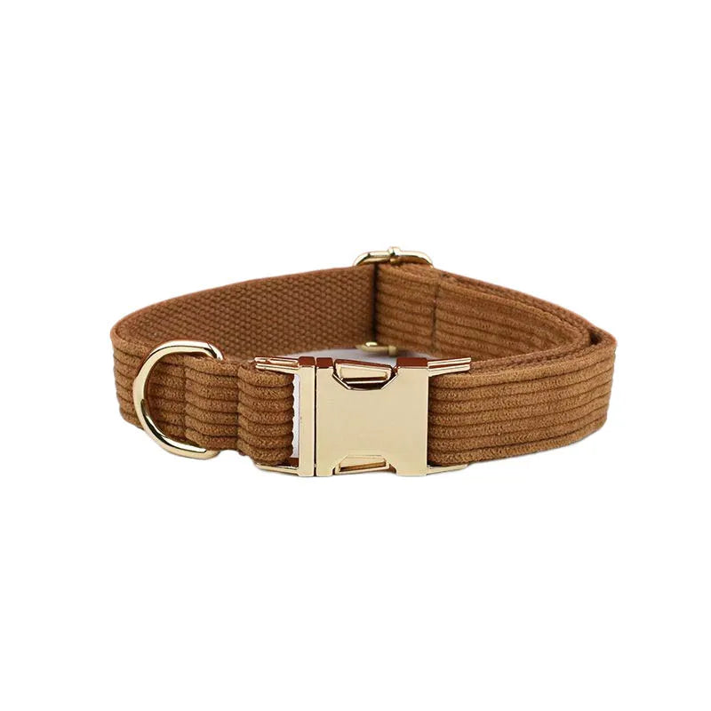 Brown dog collar with a gold buckle on a white background