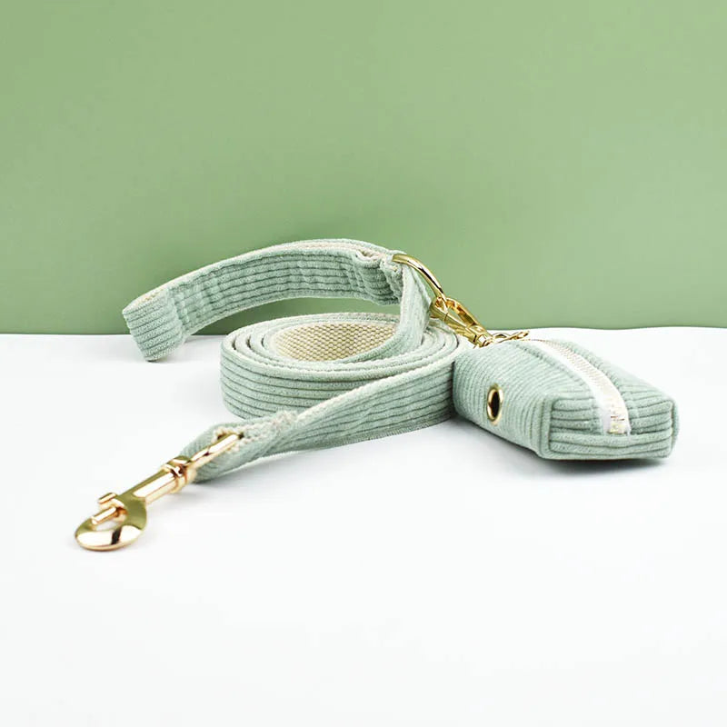 Light green dog leash with gold hardware on a white surface and green background