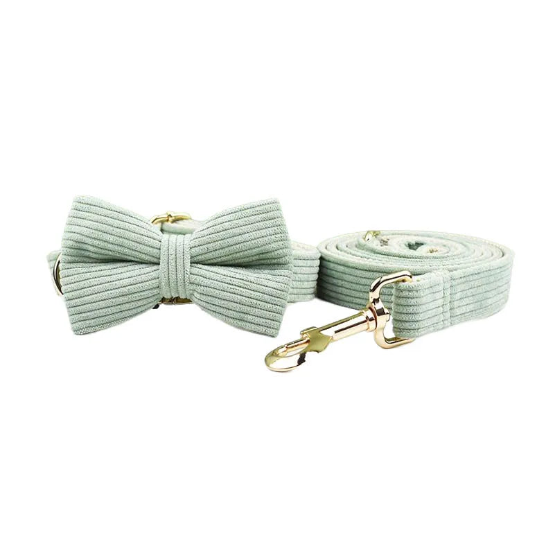Mint green bow tie and matching leash set on a white background