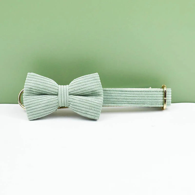 Light green bow tie and matching collar on a white surface with a green background
