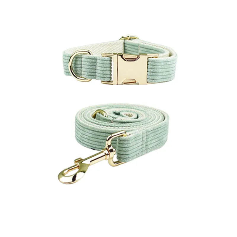 Mint green dog collar and leash set with gold hardware on a white background