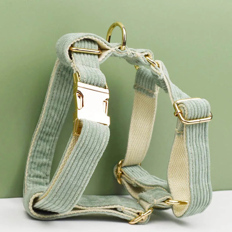 Light green dog harness with gold hardware on a light green background