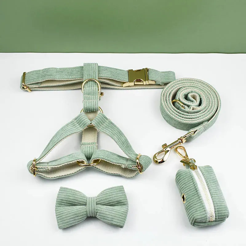 Mint green pet harness, bow, leash, and poop bag set on a white background