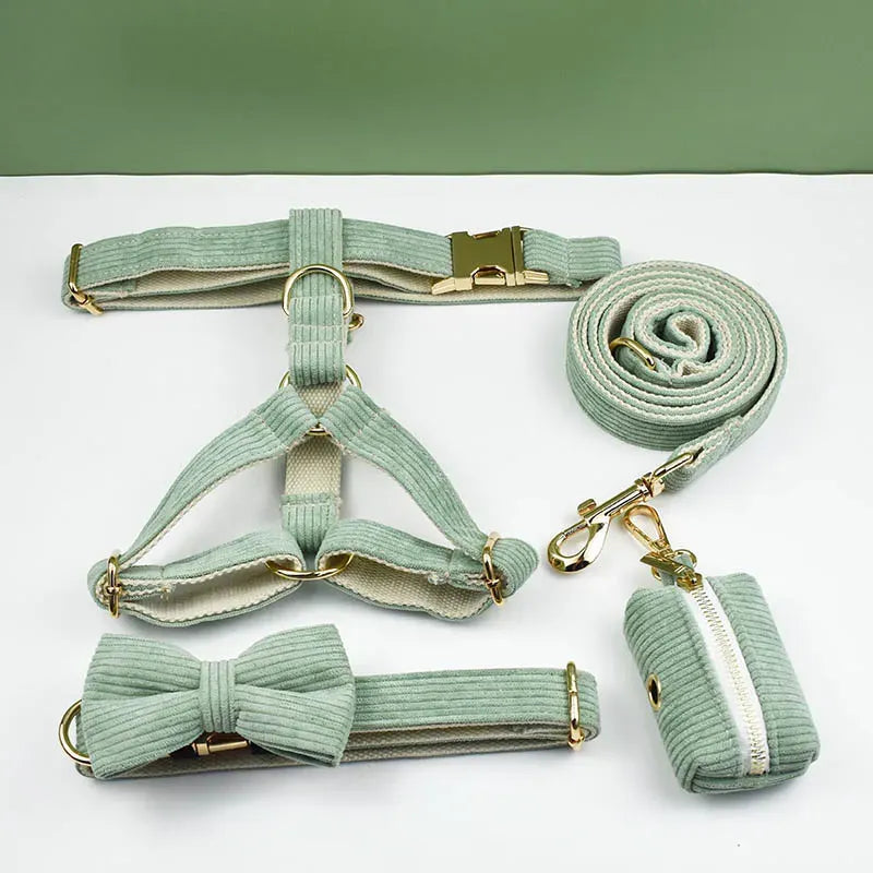 Pet accessory set including harness, collar, bow, leash, and poop bag on a white background.