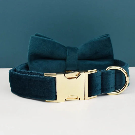Teal dog collar with a gold buckle on a white surface against a teal background