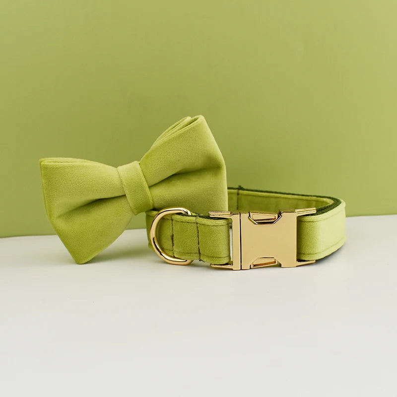 Green bow tie and collar set on a light green background
