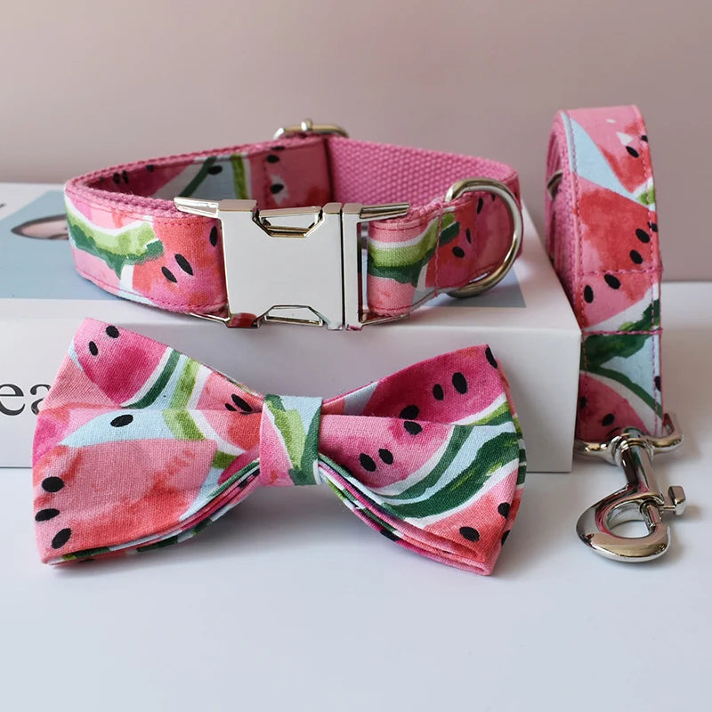 Watermelon patterned dog collar, bow tie, and leash on a white surface.