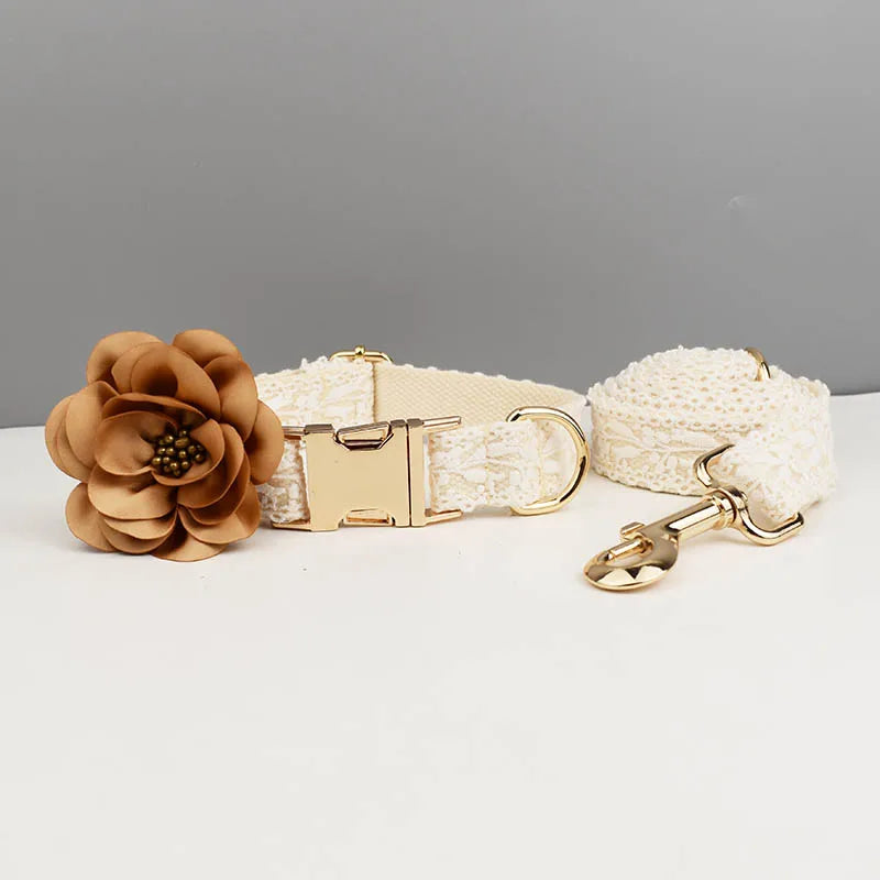 Dog collar with gold buckle, flower accessory, and matching leash on a gray background