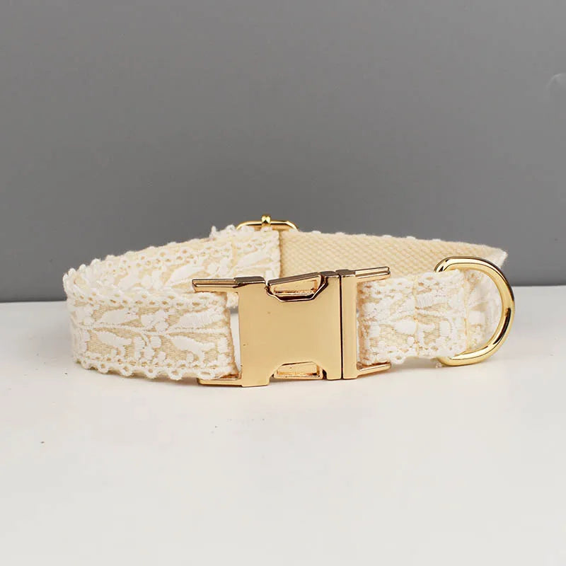 Dog collar with gold buckle on a gray background