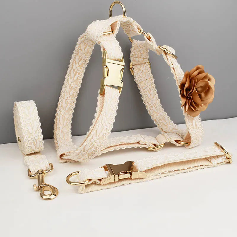 Dog harness, flower collar, and leash set on a gray background