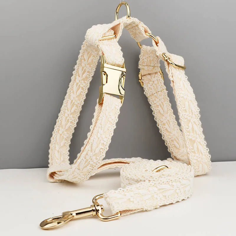 Cream-colored dog harness and leash with gold hardware on a gray background
