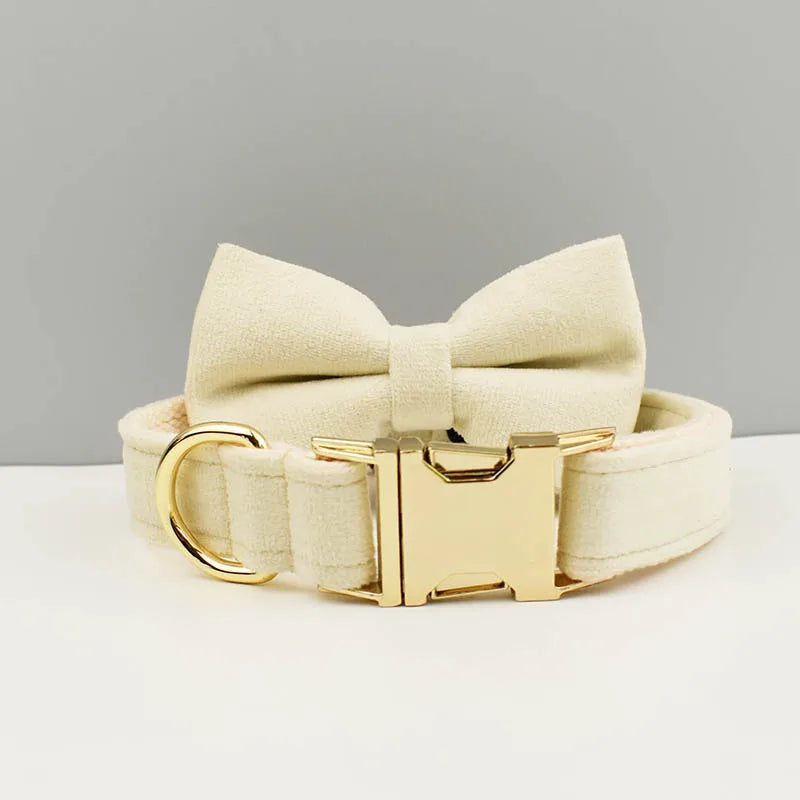 Beige dog collar with a bow and gold hardware on a light gray background
