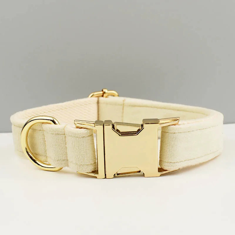 Cream-colored dog collar with gold hardware on a light gray background