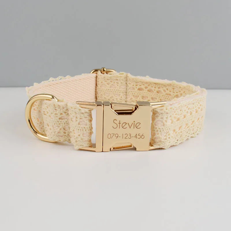 Beige dog collar with gold buckle and engraved nameplate on a light gray background