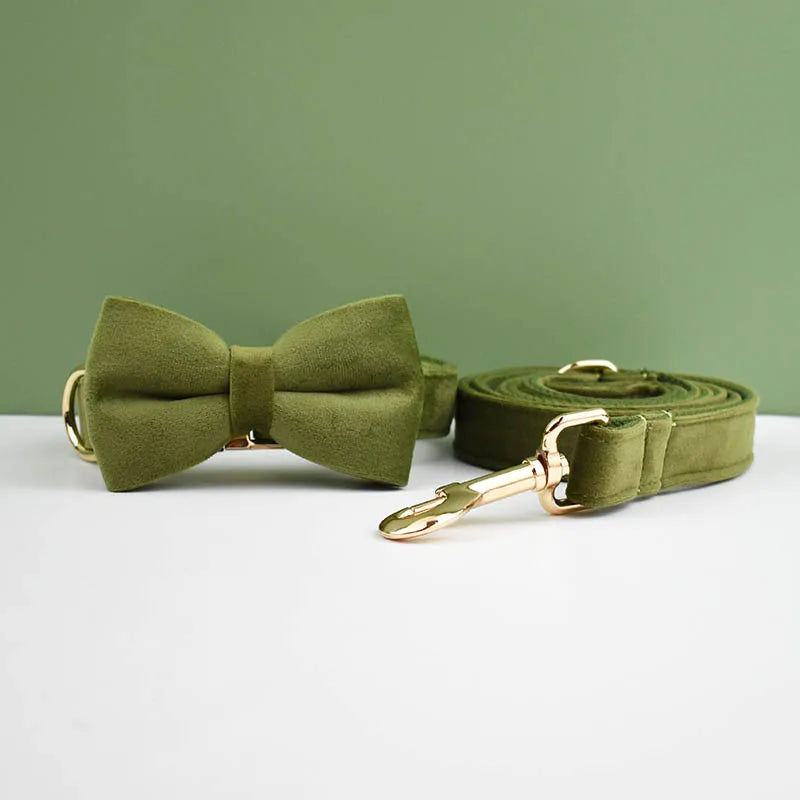 Green bow tie and matching leash on a white surface with a green background
