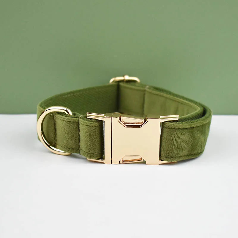 Green dog collar with gold hardware on a green background