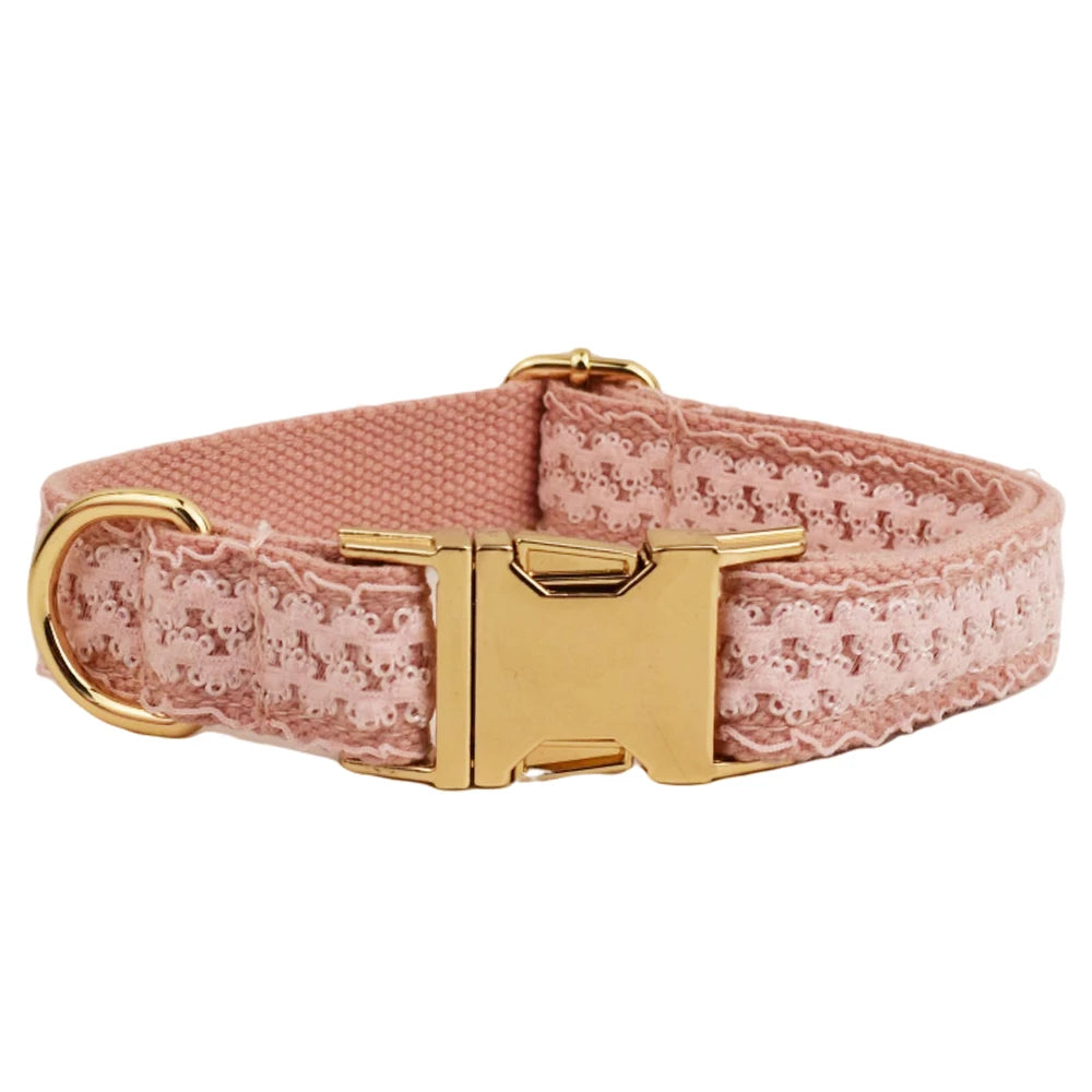Pink dog collar with gold buckle on a white background