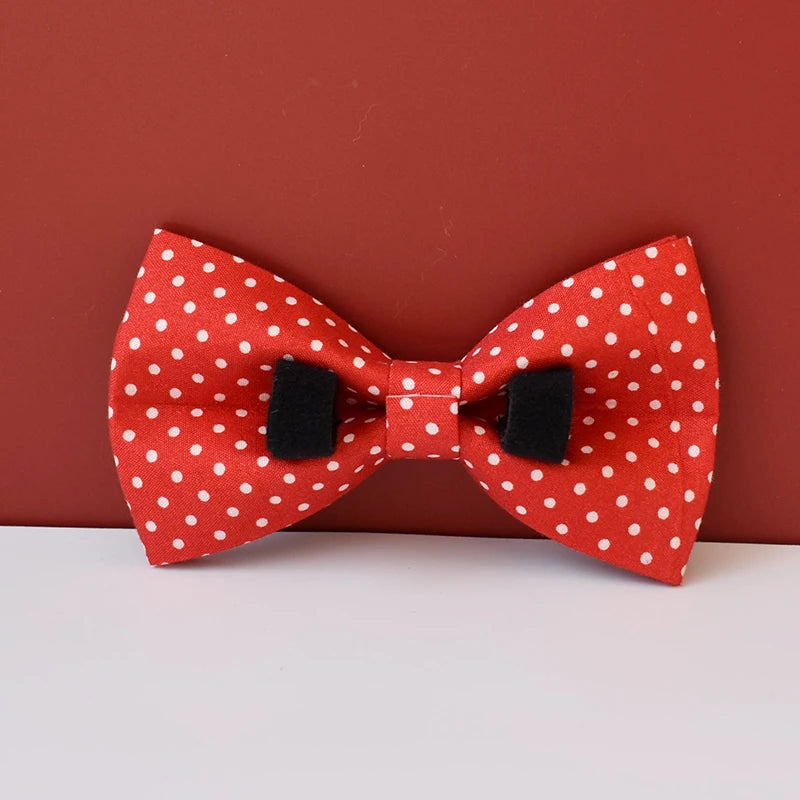 Red bow tie with white polka dots on a red background