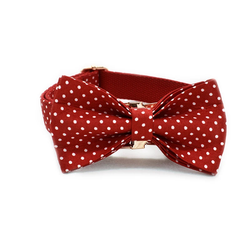 Red bow tie with white polka dots on a white background