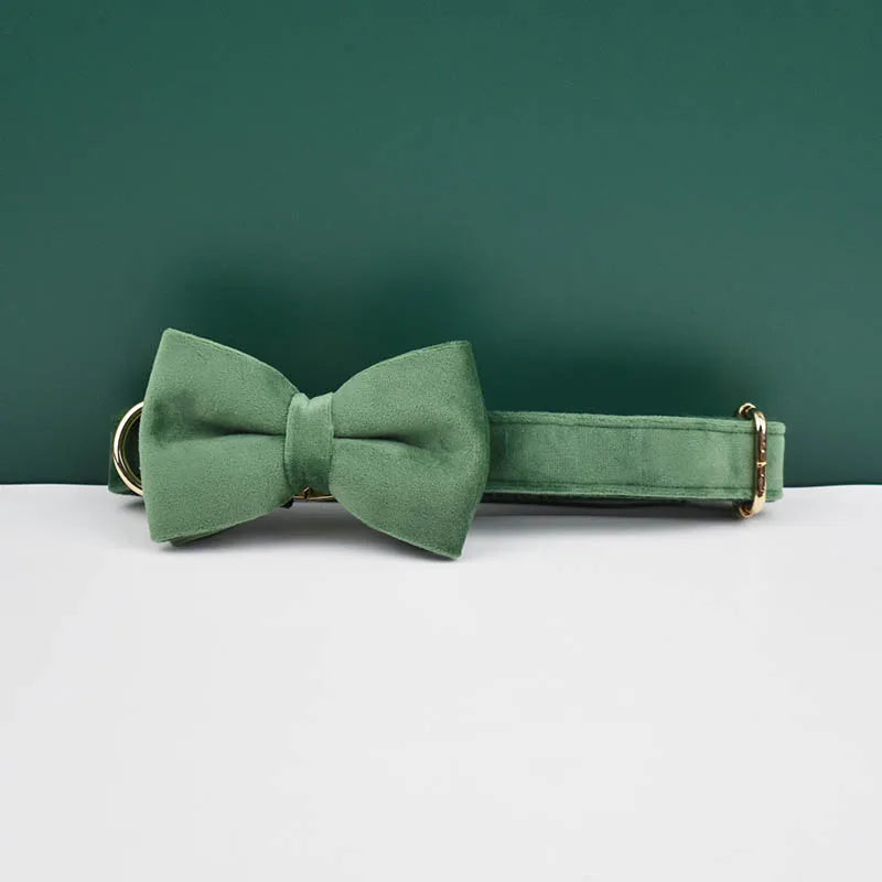 Green bow tie and collar set on a white surface with a green background