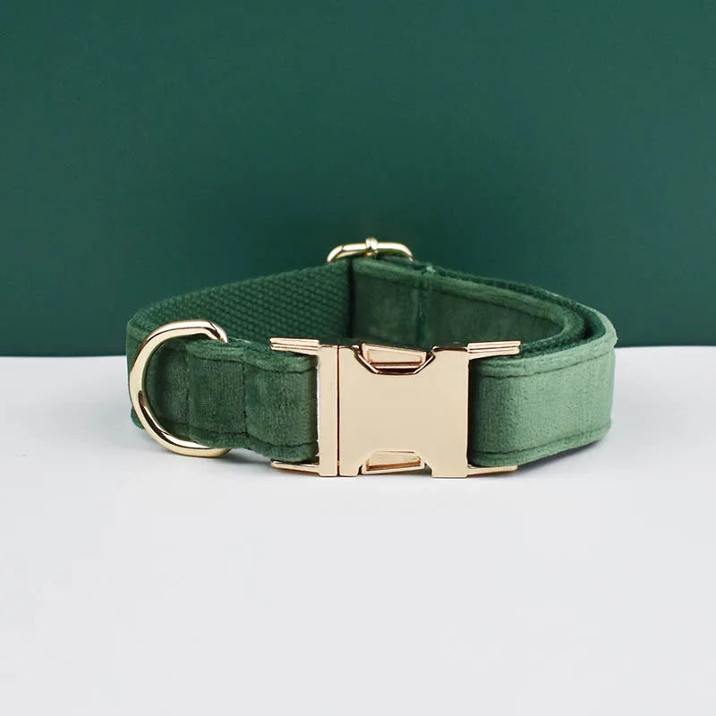 Green dog collar with gold hardware on a white surface and green background
