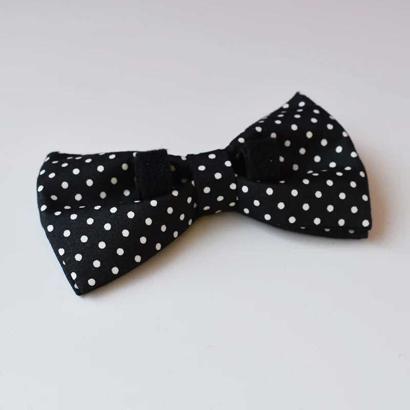 Black bow tie with white polka dots on a light gray background