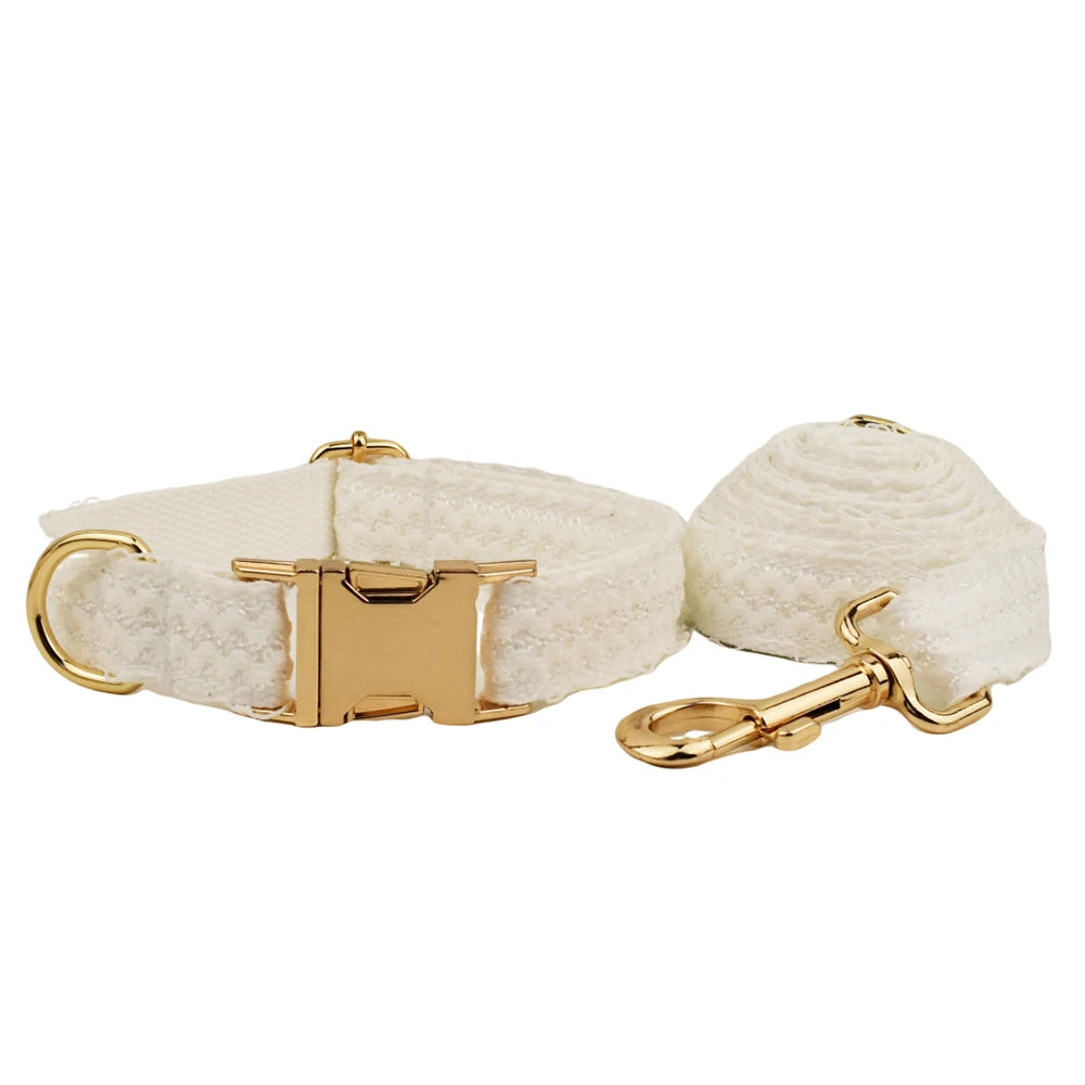 Dog collar with gold hardware on a white background