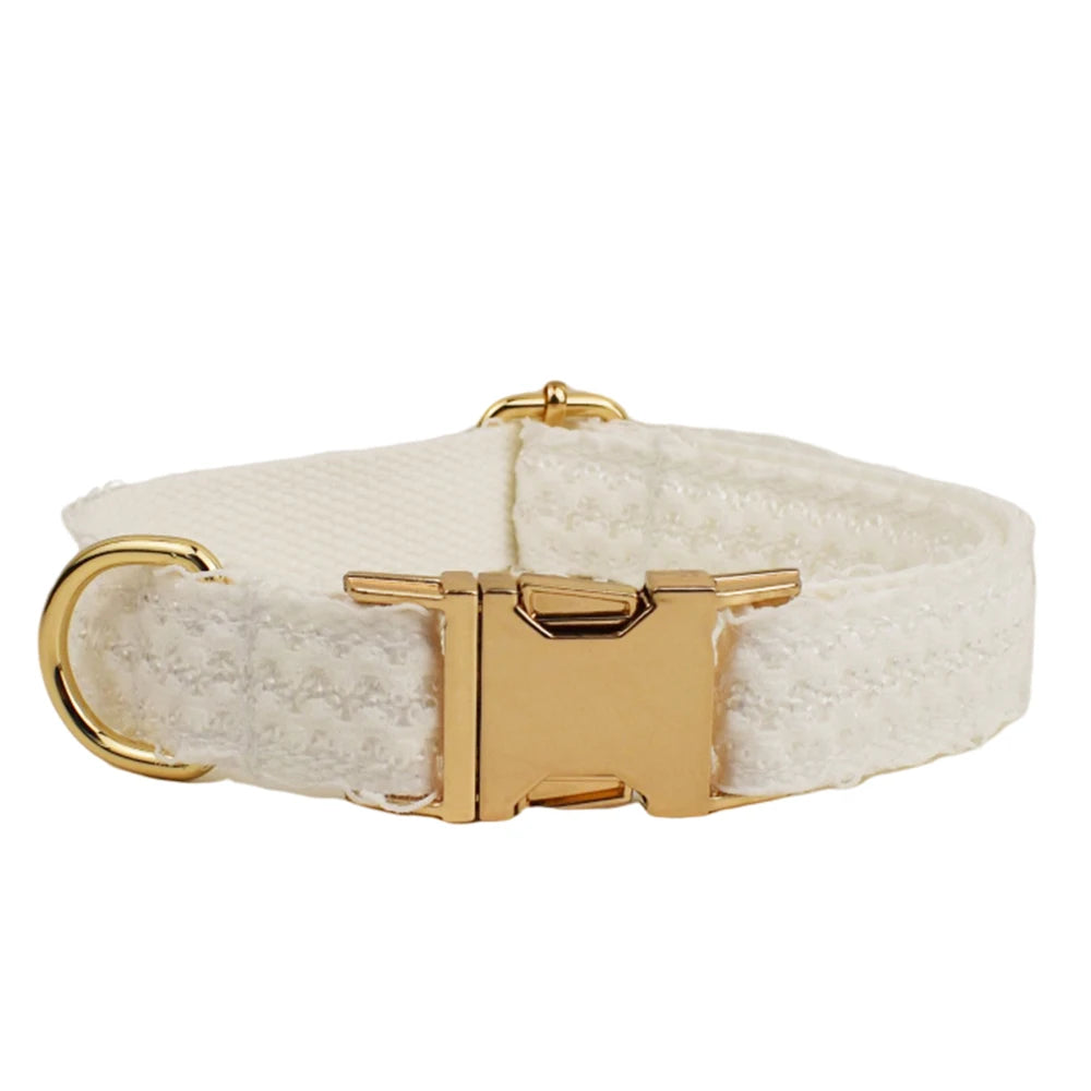 White dog collar with gold buckle on a white background