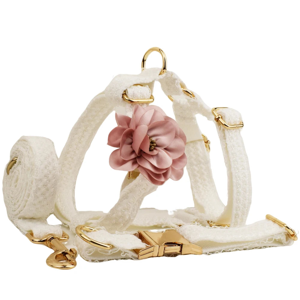 Dog harness with floral design and gold accents on a white background