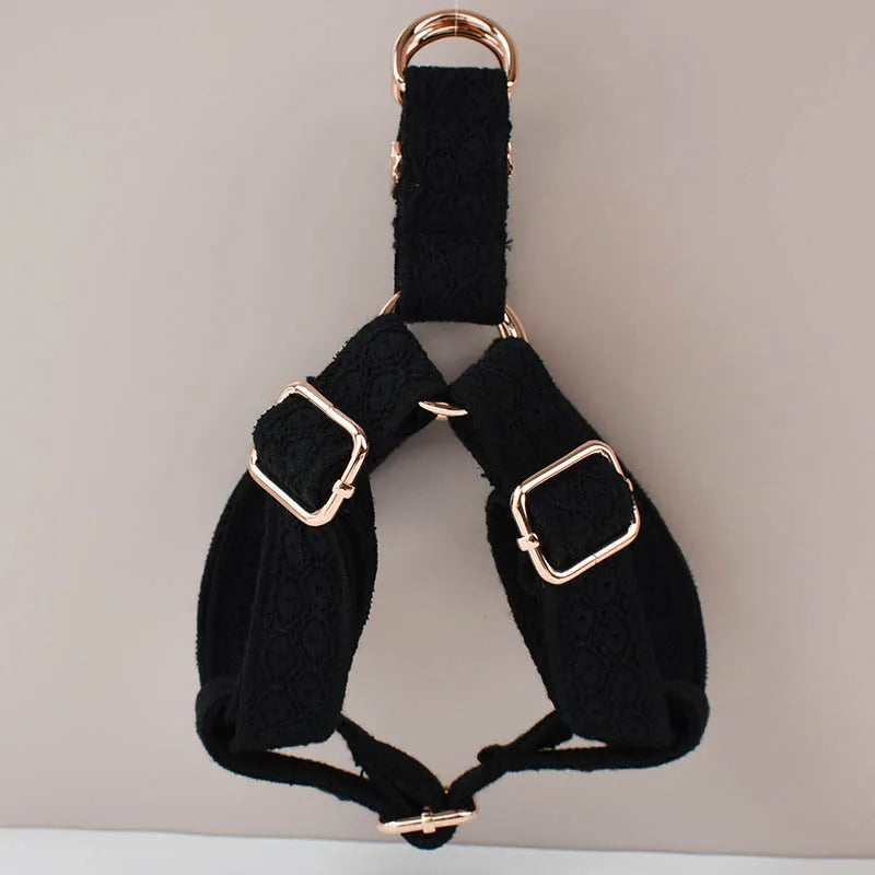 Black dog harness with gold hardware on a neutral background