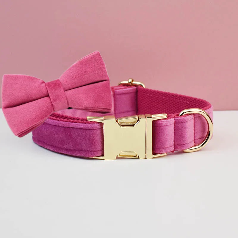 Pink dog collar with a large bow and gold buckle on a pink background