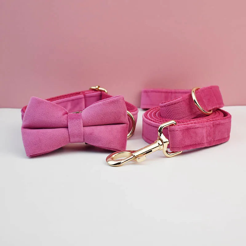 Pink dog bow tie and leash set with gold hardware on a pink background