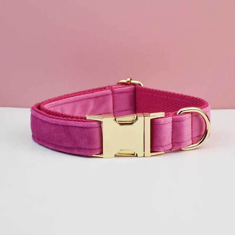 Pink dog collar with gold buckle on a light pink background