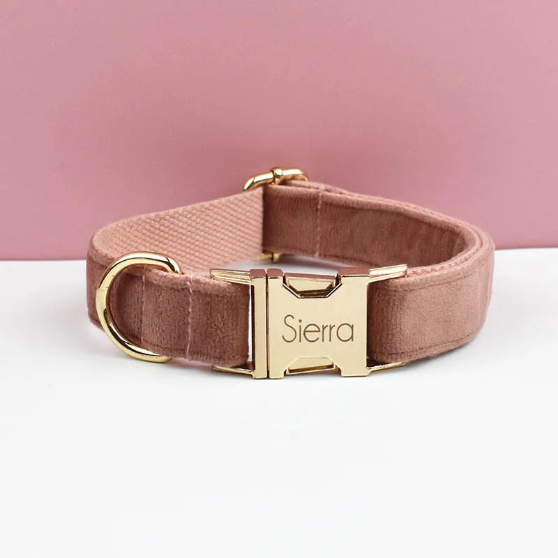 Pink dog collar with gold buckle and 'Sierra' engraving on a pink background
