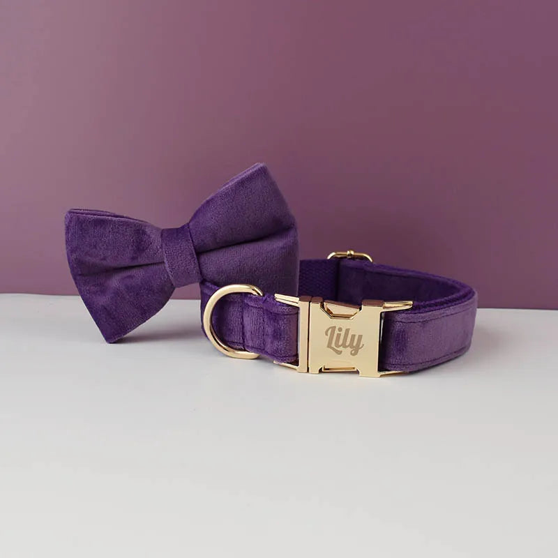 Purple velvet bow tie and collar set with gold buckle on a white surface and purple background