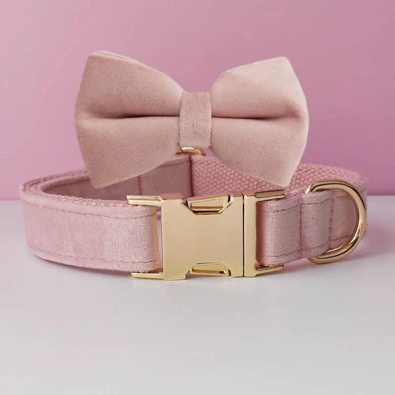 Pink dog collar with a bow and gold buckle on a pink background