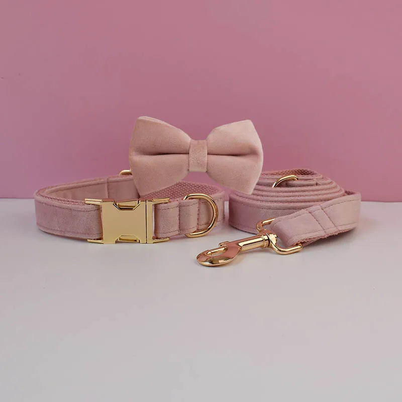 Pink dog collar with bow tie and matching leash on a pink background