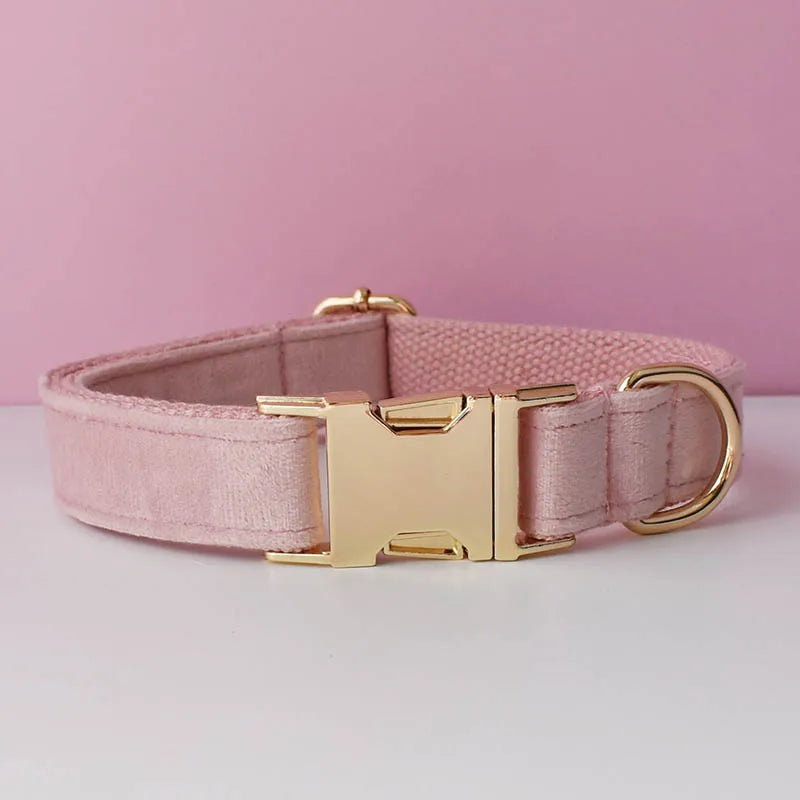 Pink dog collar with gold buckle on a pink background