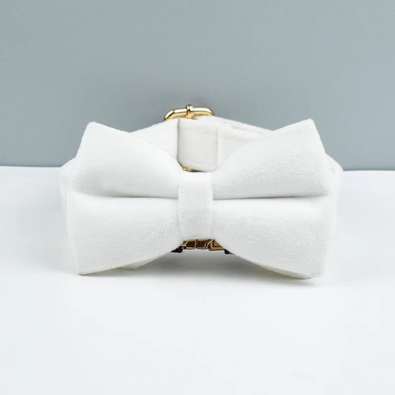 White bow tie with gold accents on a white background