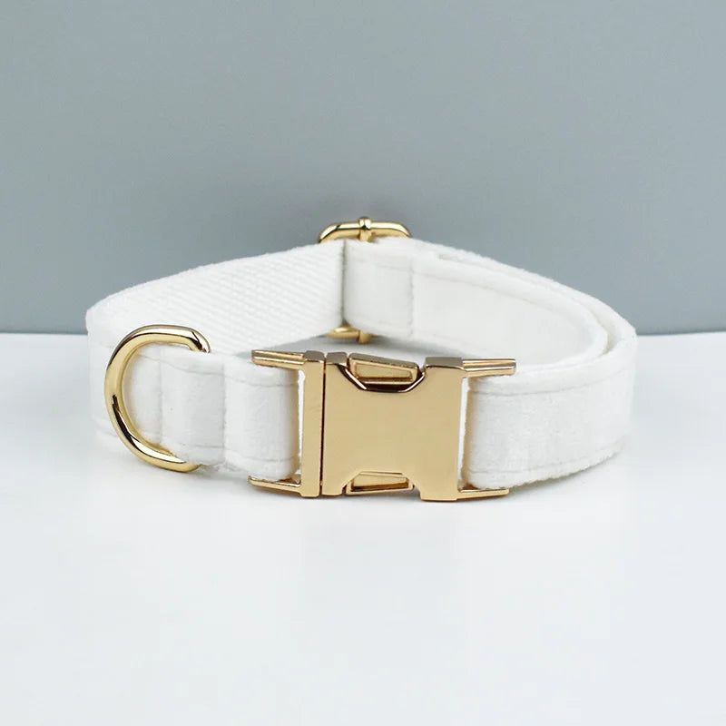 White dog collar with gold hardware on a light gray background