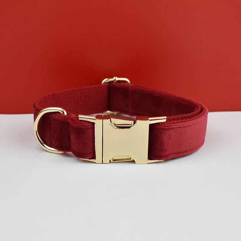Red dog collar with gold buckle on a white surface and red background